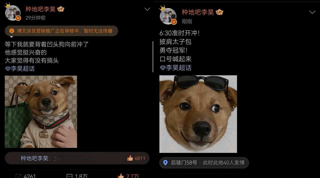 哈哈哈笑死了，昊是不是真的要冲？
披肩太子包？[捂脸][捂脸][捂脸][捂脸]（