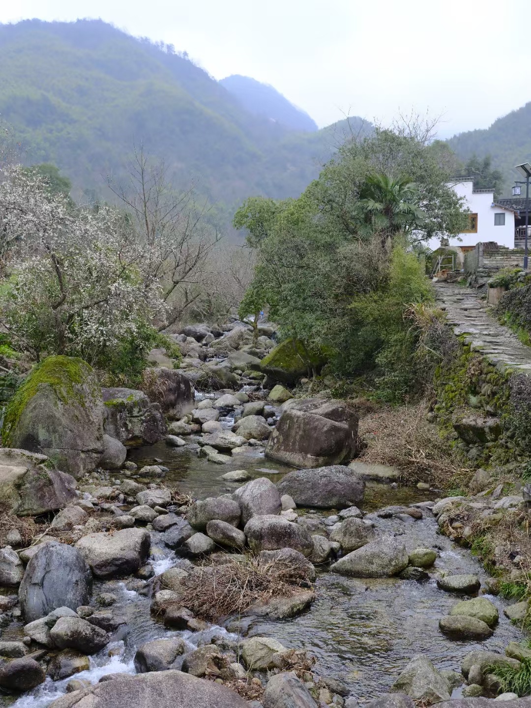 一位丈母娘的一段话让婆婆无地自容：你儿子是你辛苦养大带大的，我女儿是我呕心沥血养