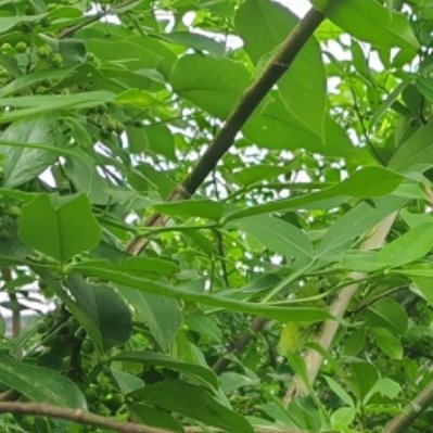 每日一善 阳光信用‎每日一善 把握每一个机会，去关心和帮助那些需要我们帮助的人。