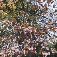 我的今日状态：😁轻松愉快
我这里的天气：☀️晴天