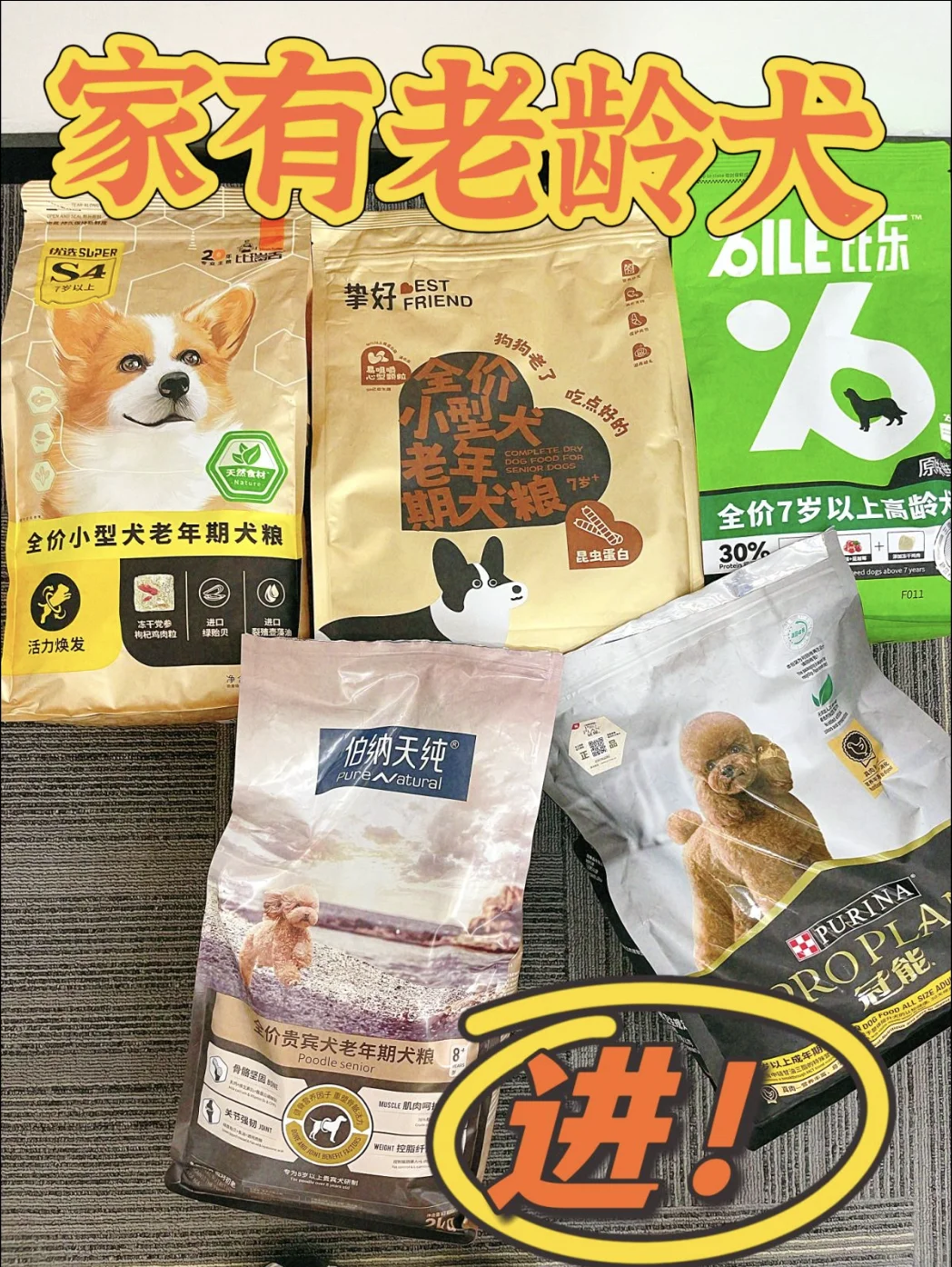 家有老龄犬进