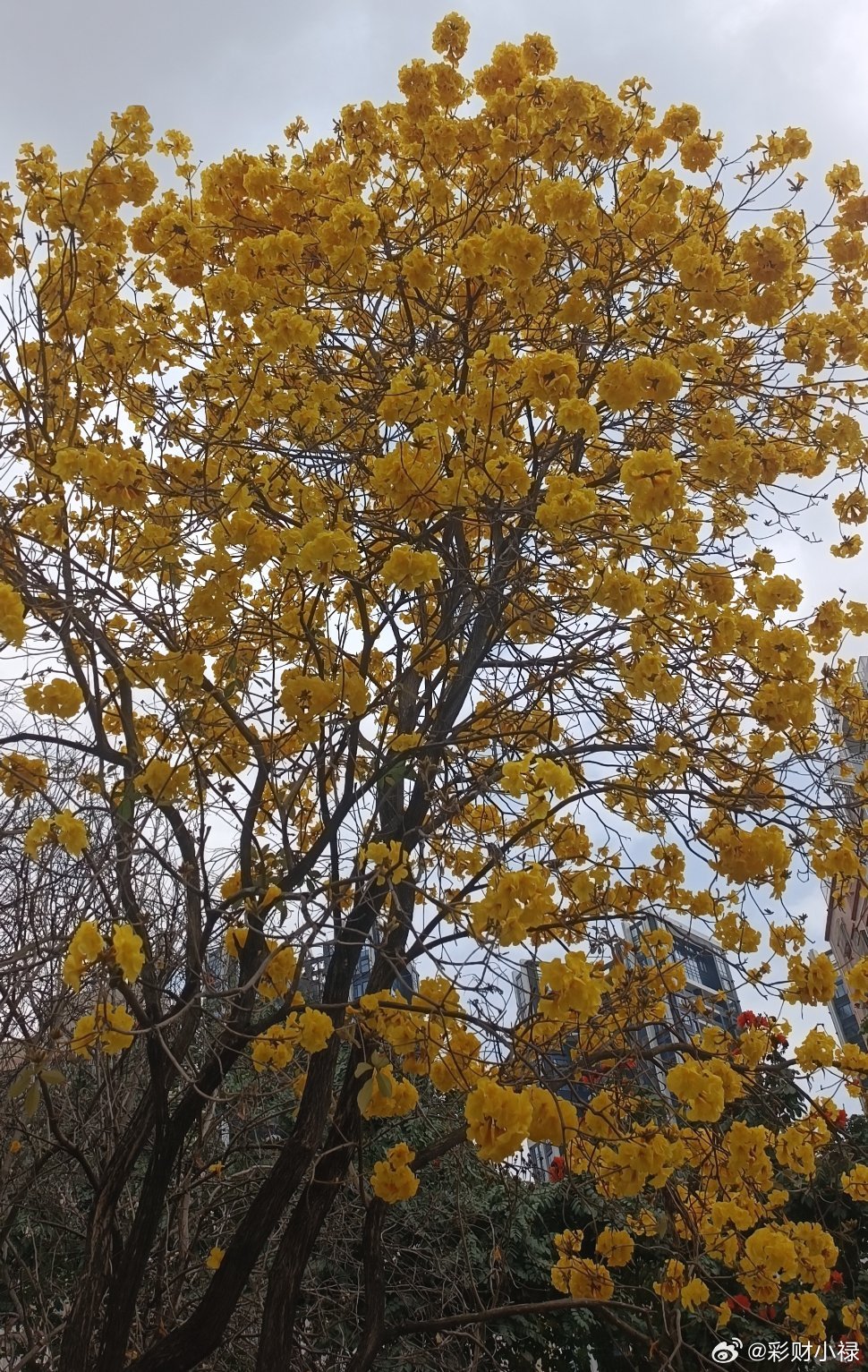 女儿问我如果可以选择一项超能力，要选什么？我说选长生不老，她说她要选可以控制时间