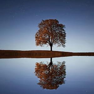 治愈人间的密码说武器