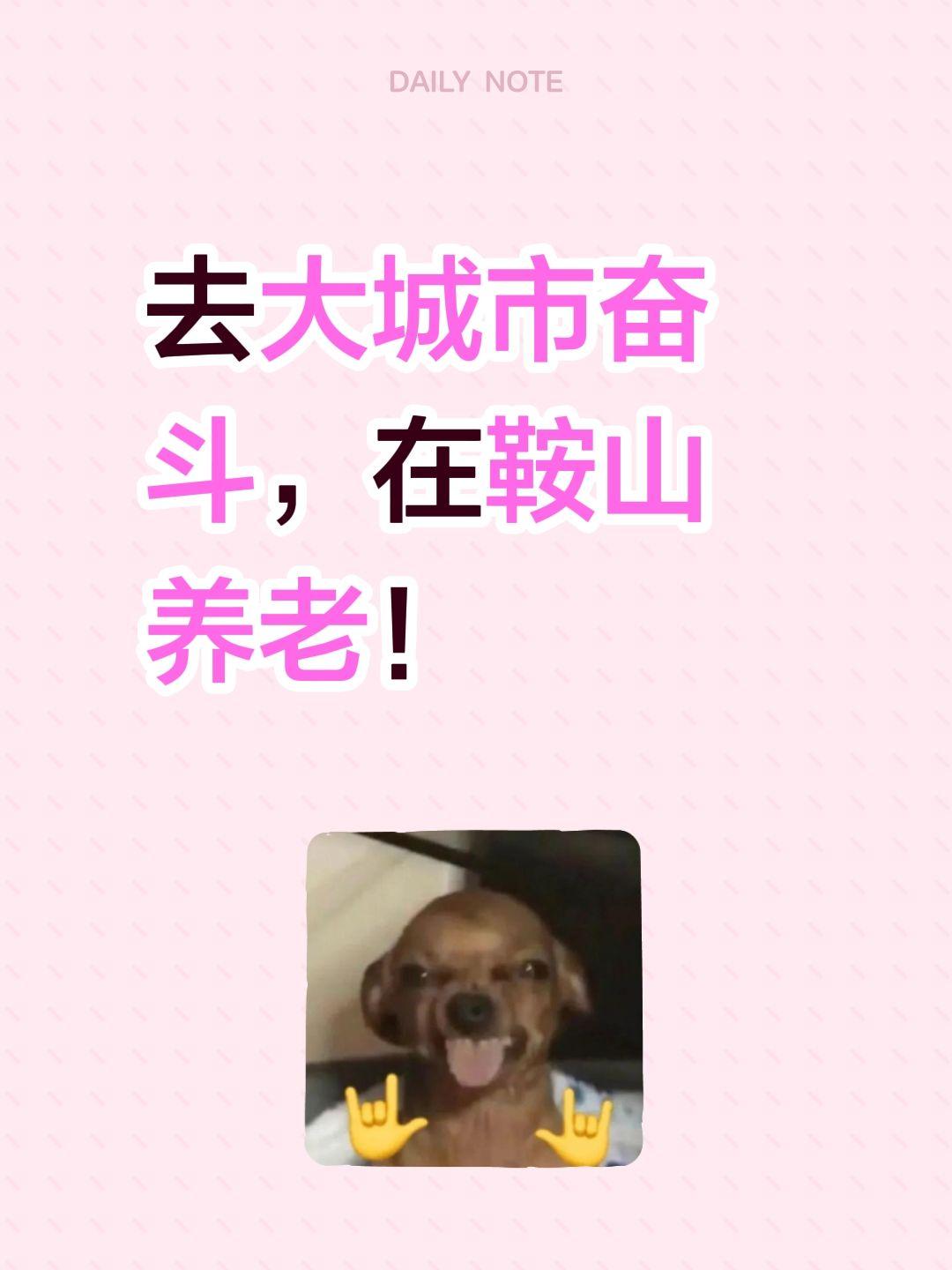 去大城市奋斗，在鞍山养老！