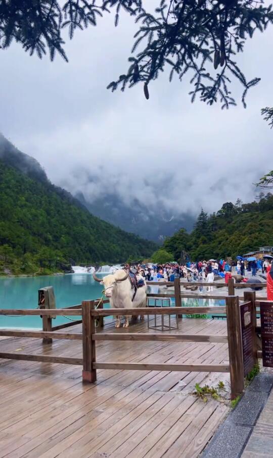 玉龙雪山7月7号实况，什么时候雨停呀