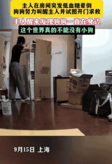 “太有灵性了！”上海一独居女子拆快递，刚打开纸箱就眼前一黑，“砰”的一声栽倒在地