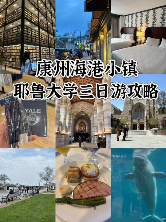🌊康州海港小镇➕耶鲁大学3日游攻略🚗
