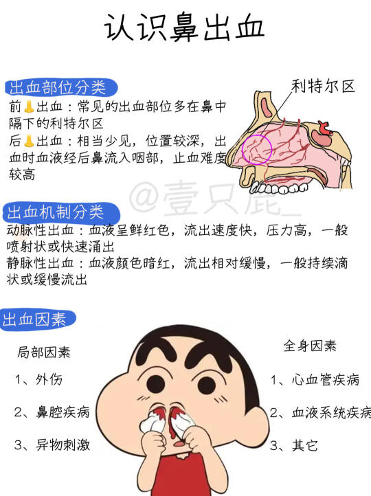 医学生笔记📝｜认识“流鼻血”