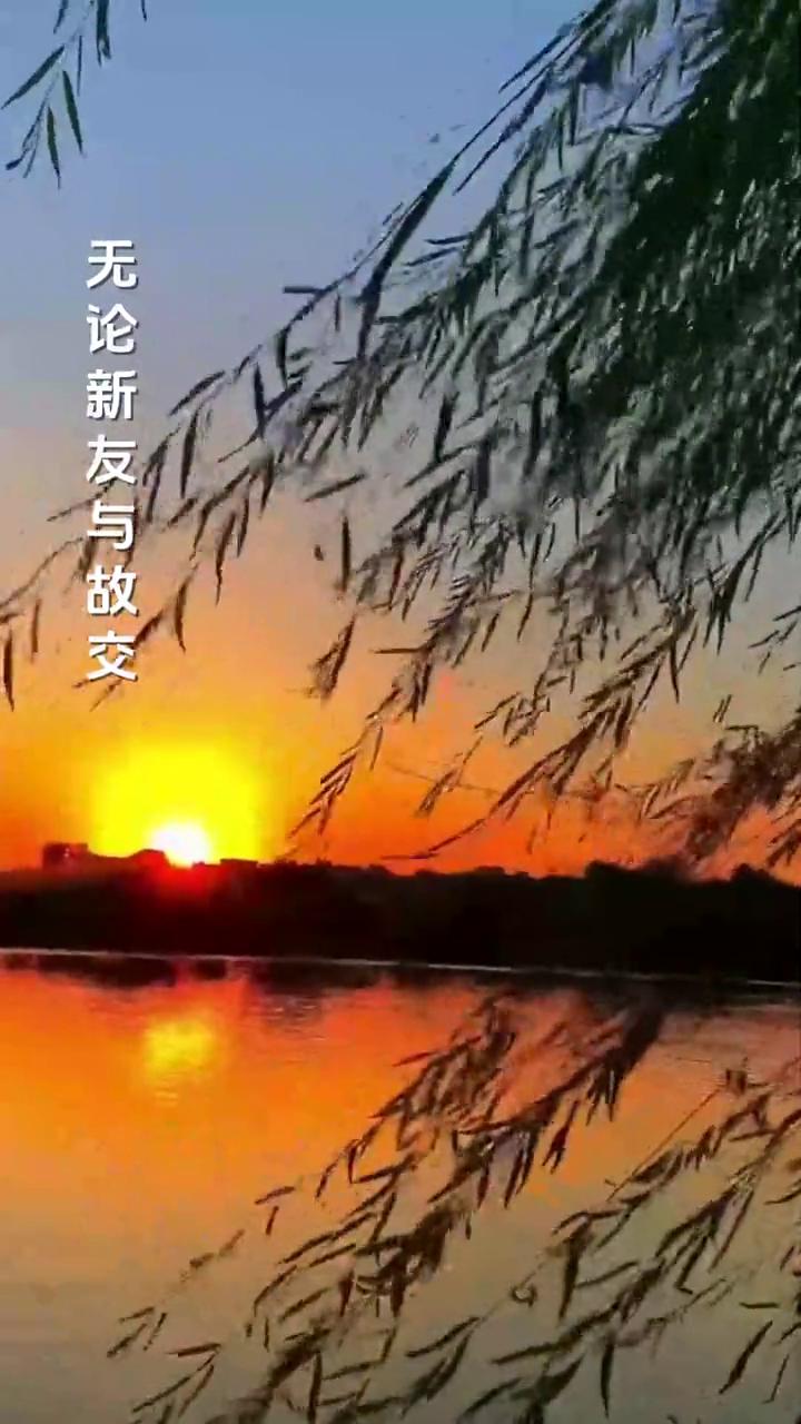 难忘今宵。
演唱者：梦之旅演唱组合。
制片人：芙蓉传媒。
难忘今宵，难忘今宵。