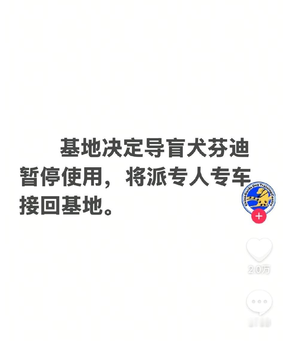 盲人夫妻带着导盲犬芬迪雨夜爬泰山，是励志故事，还是为获得流量，获取关注？

导盲