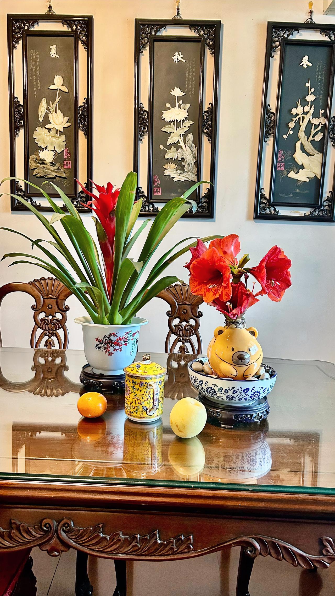 一盆风梨红鸿当头，
一盆朱顶红花开正艳，
绚烂绽放的花色，
都是我们深爱的中国红