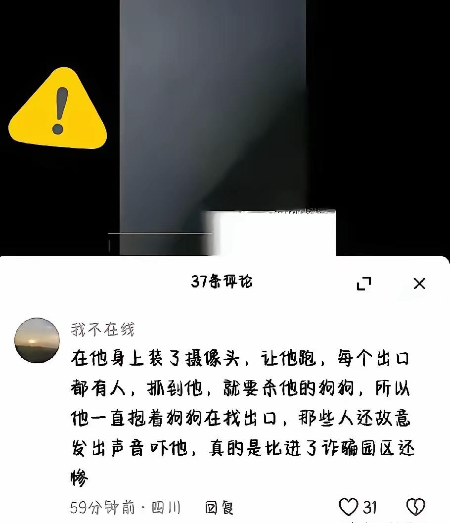 你见过这么狠的操作吗？他们简直了！用他心爱的狗，从精神上残忍折磨他，让他恐惧，让