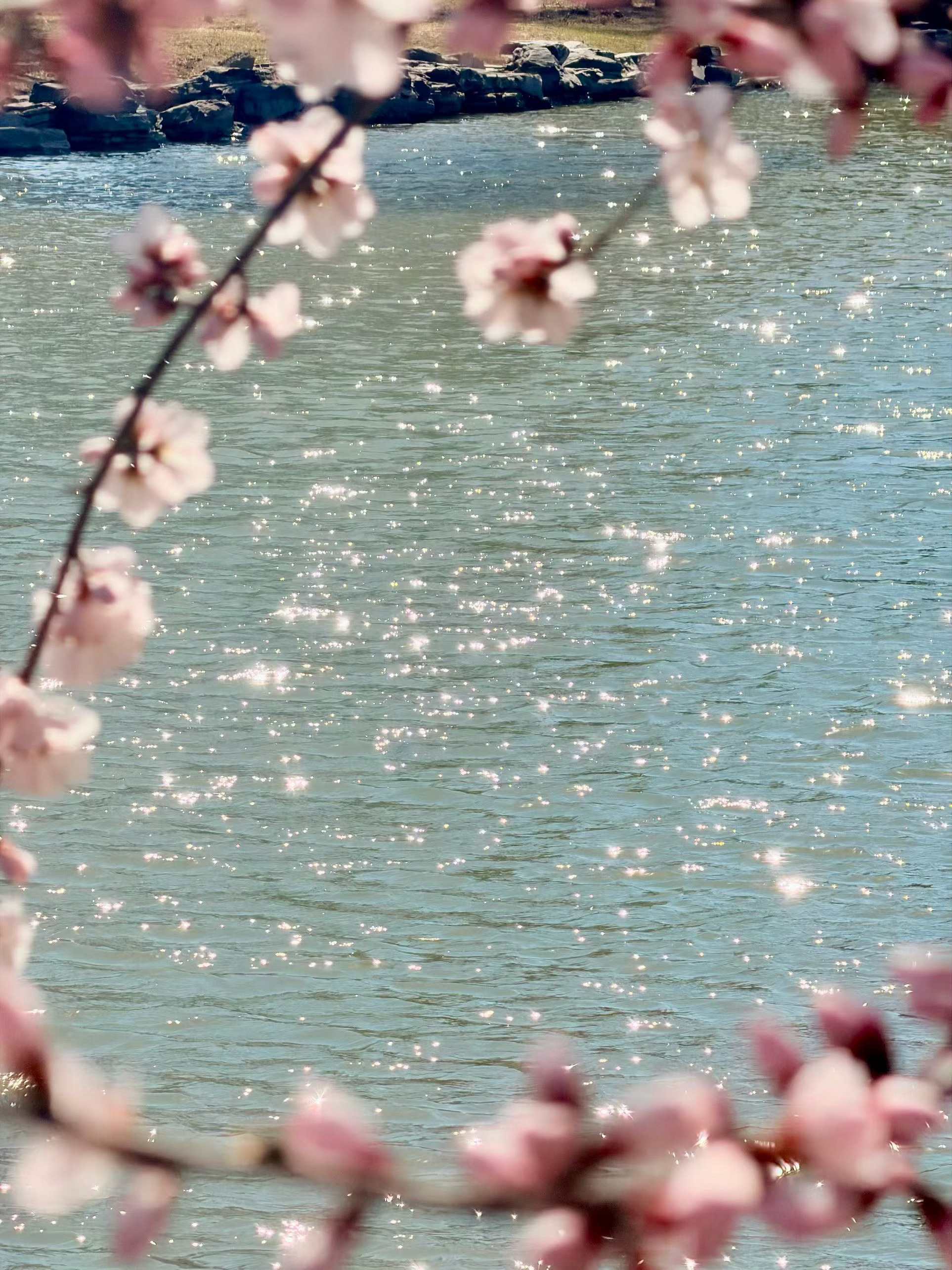 微博young派对 我许愿北京的春天长久一些，春暖花开，可以多享受些许温暖的阳光