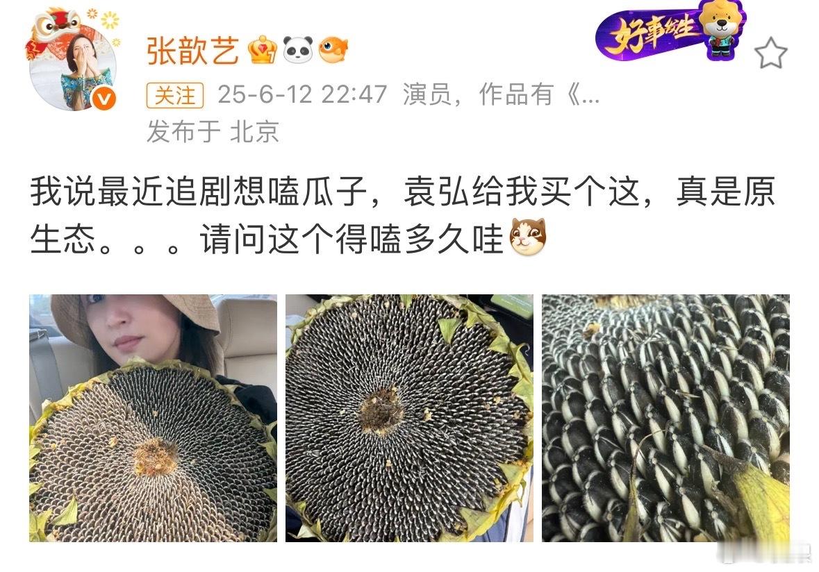 袁弘给张歆艺买向日葵花盘追剧？[笑cry]这宠妻方式也是绝了，张歆艺还特意弄出了