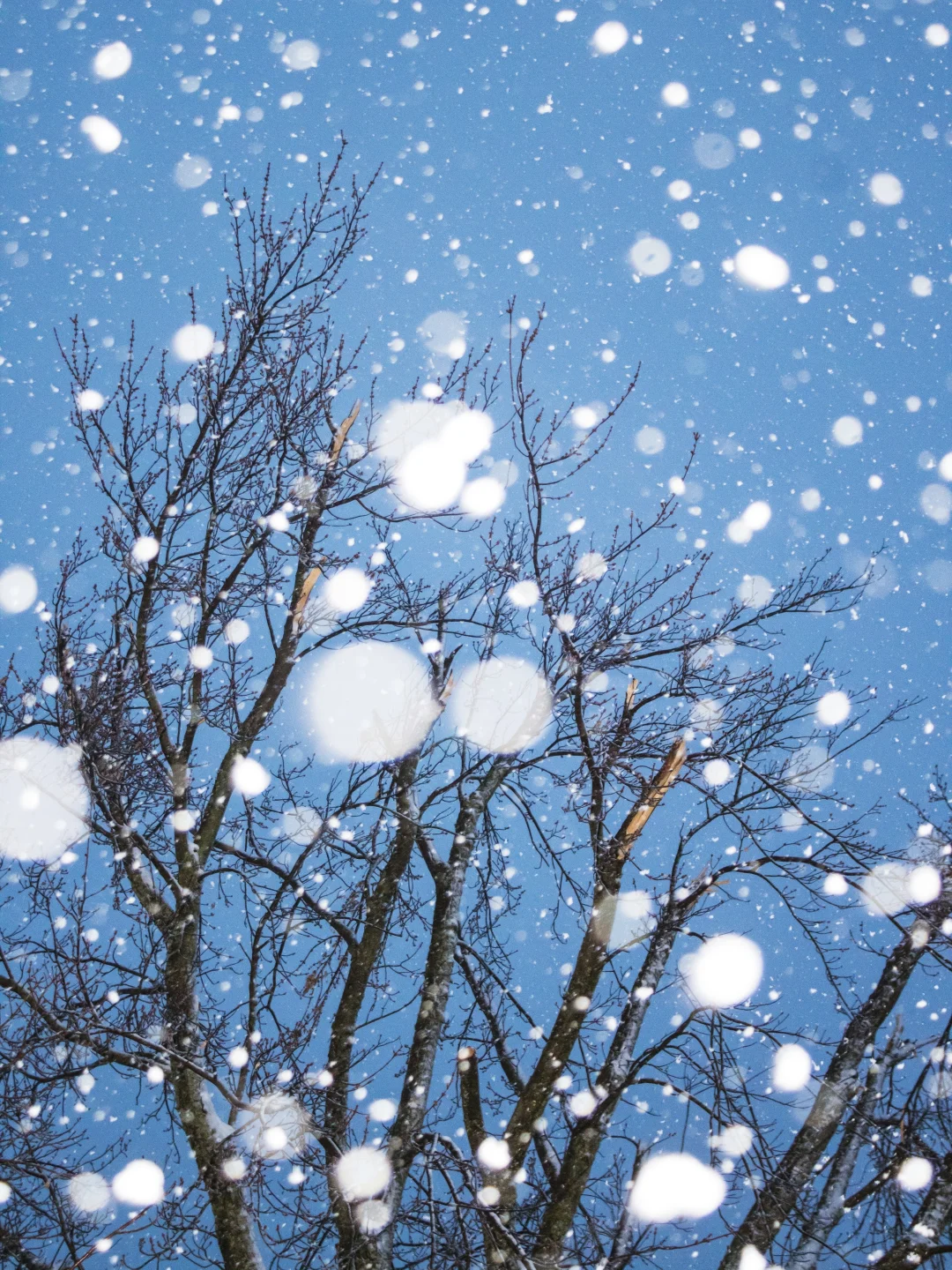 交换一张你拍到的雪景(附雪景拍照技巧