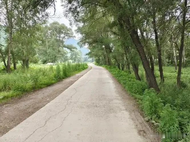 今天去乡下办事，路过一段乡村公路，一眼就看见路面上一块被碾得扁平的动物尸体。是一