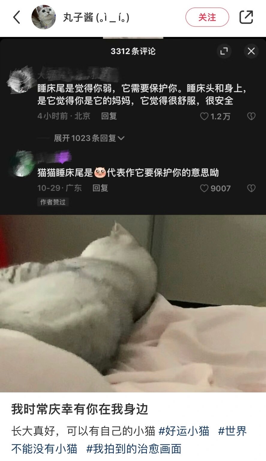 原来猫咪睡床尾是保护你的意思 ​​​