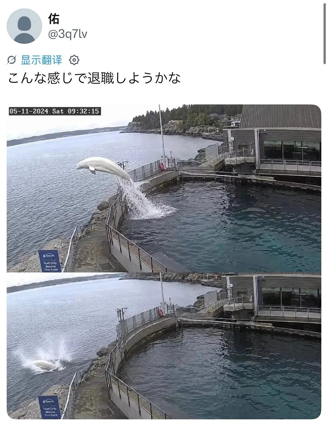 辞职那天可以用上！ 