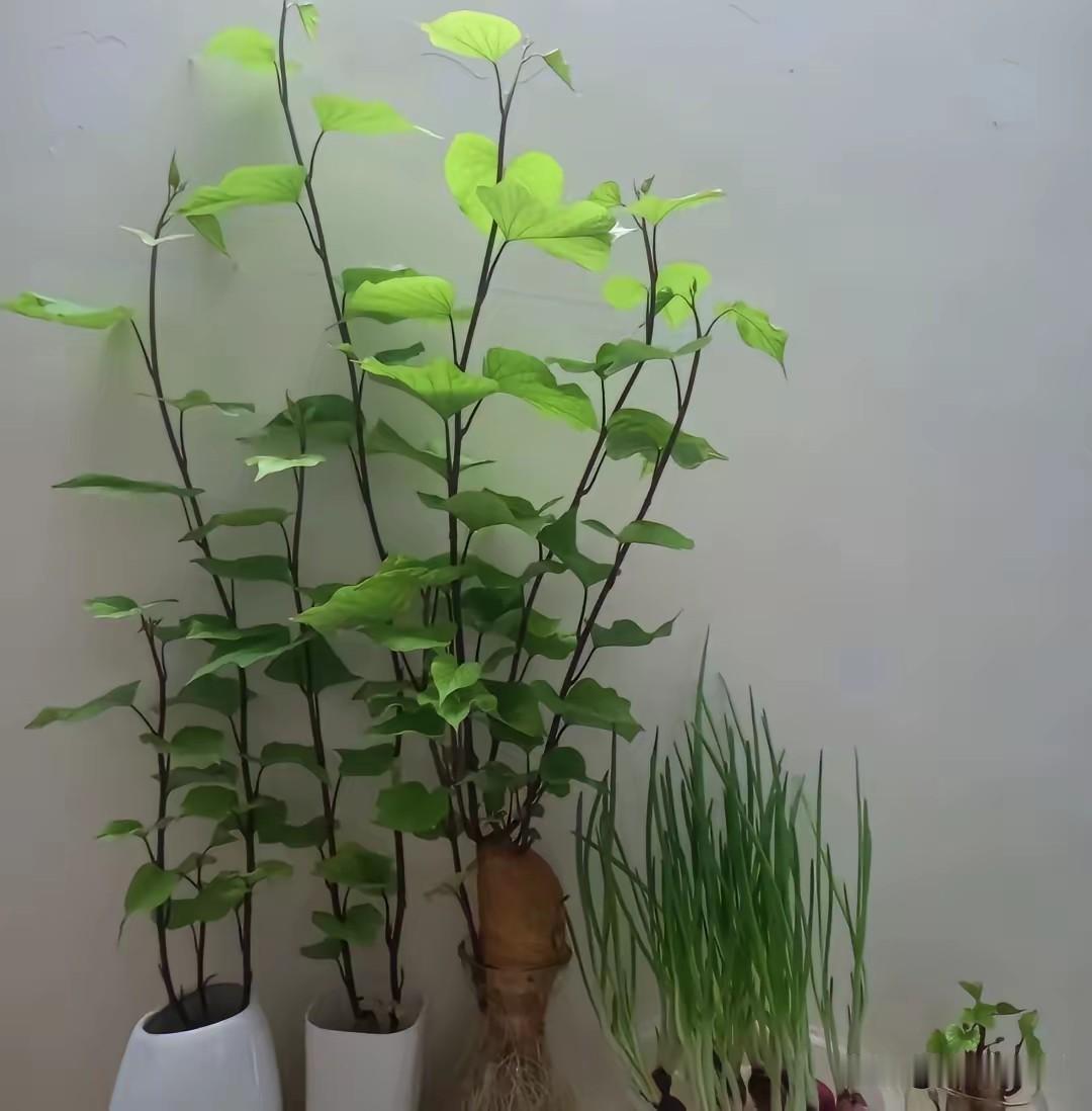 “半仓”炒股！

我为什么总是亏？今天向表哥请教，他说，你最大的原因就是常年“满