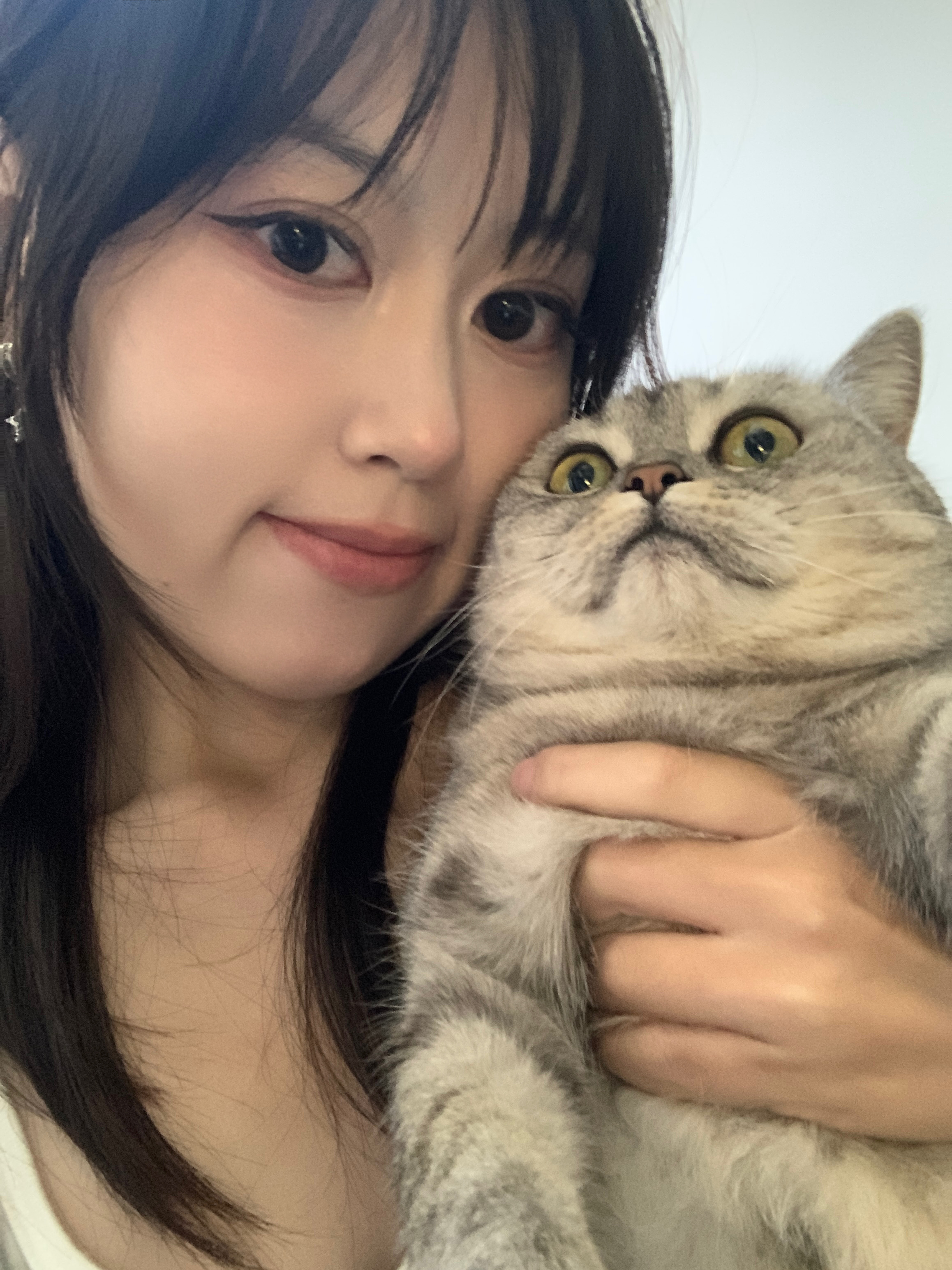 🐱：猫猫我呀 今天要被吃掉咯 ​​​