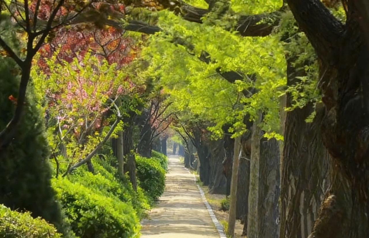 分享一下你随手拍下的照片