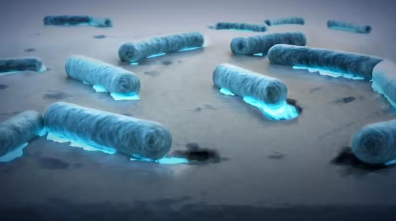 全球 80% 海域发现“吃塑料”细菌，已进化出降解能力，感觉以后可以用在环保回收