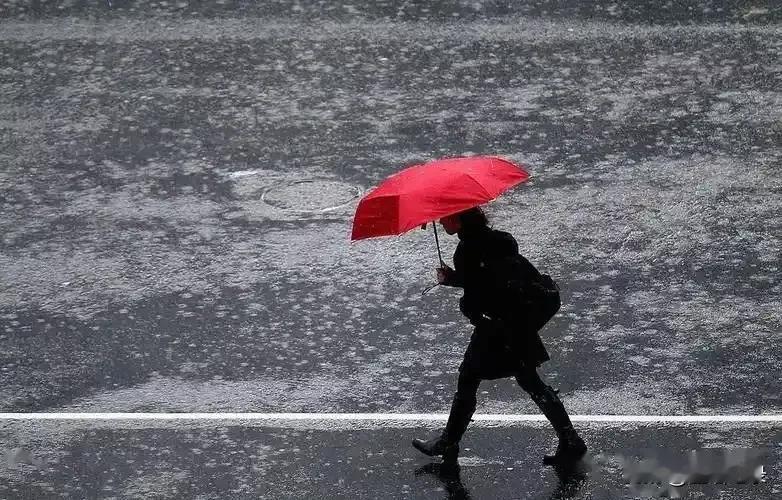 经历风雨
内心会逐渐强大
历经挫折
遇事会变得越加冷静