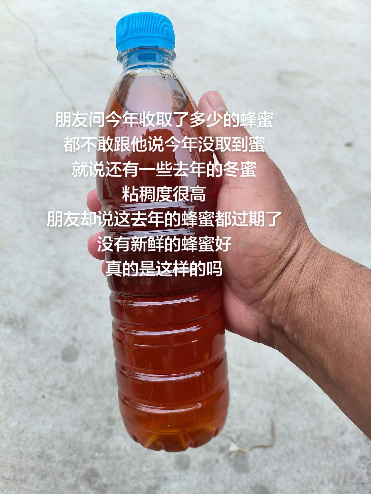 朋友问今年收取了多少的蜂蜜
都不敢跟他说今年没取到蜜
就说还有一些去年的冬蜜
粘