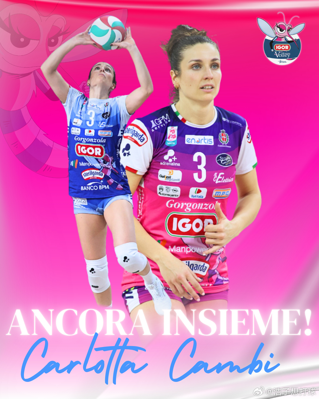 【2026年4月1日排球转会官宣】国际排坛动态国际排坛转会 女排：意大利国手二传