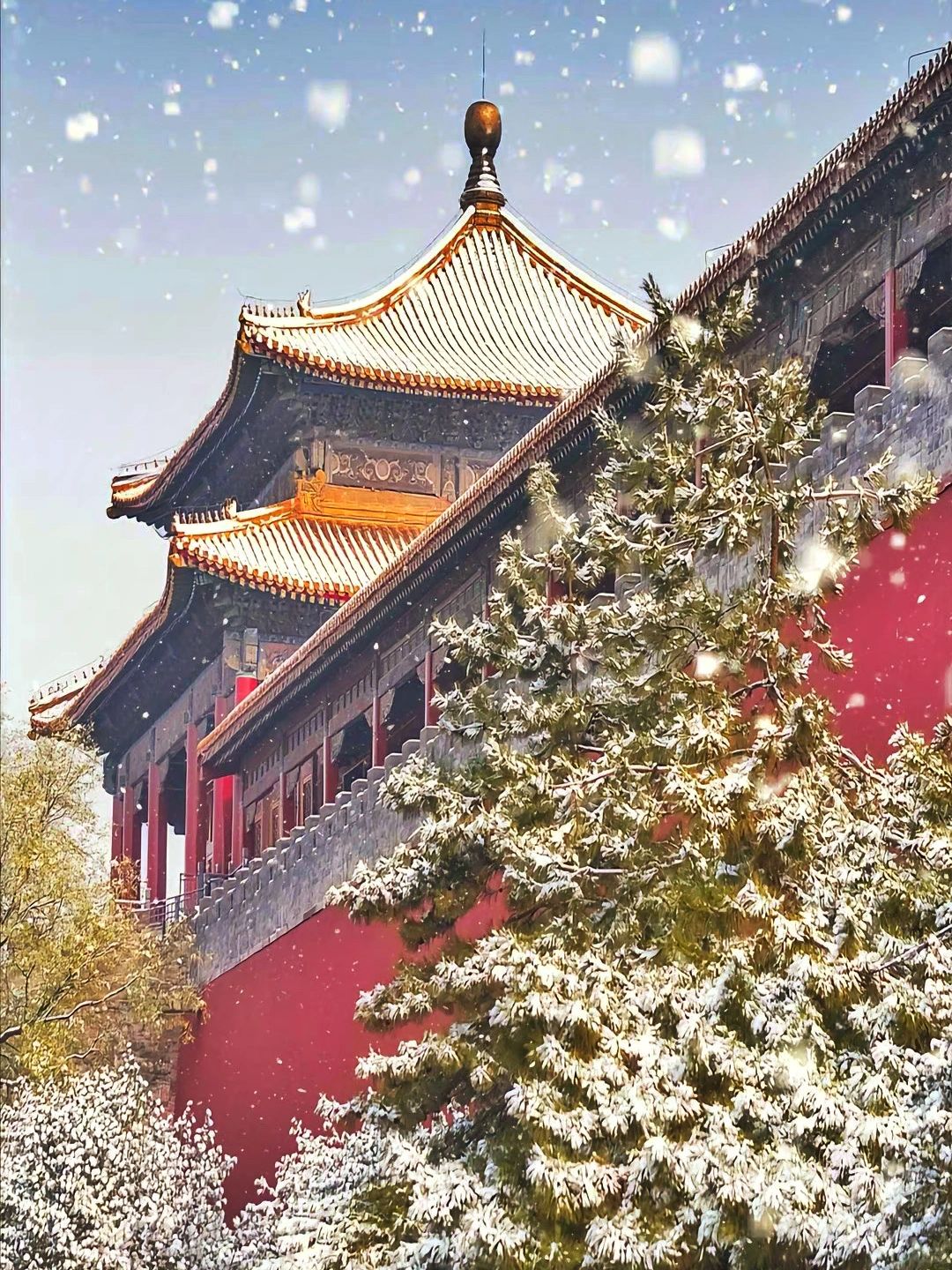 北平2023第一场雪❄️会如期而至，就去故宫看