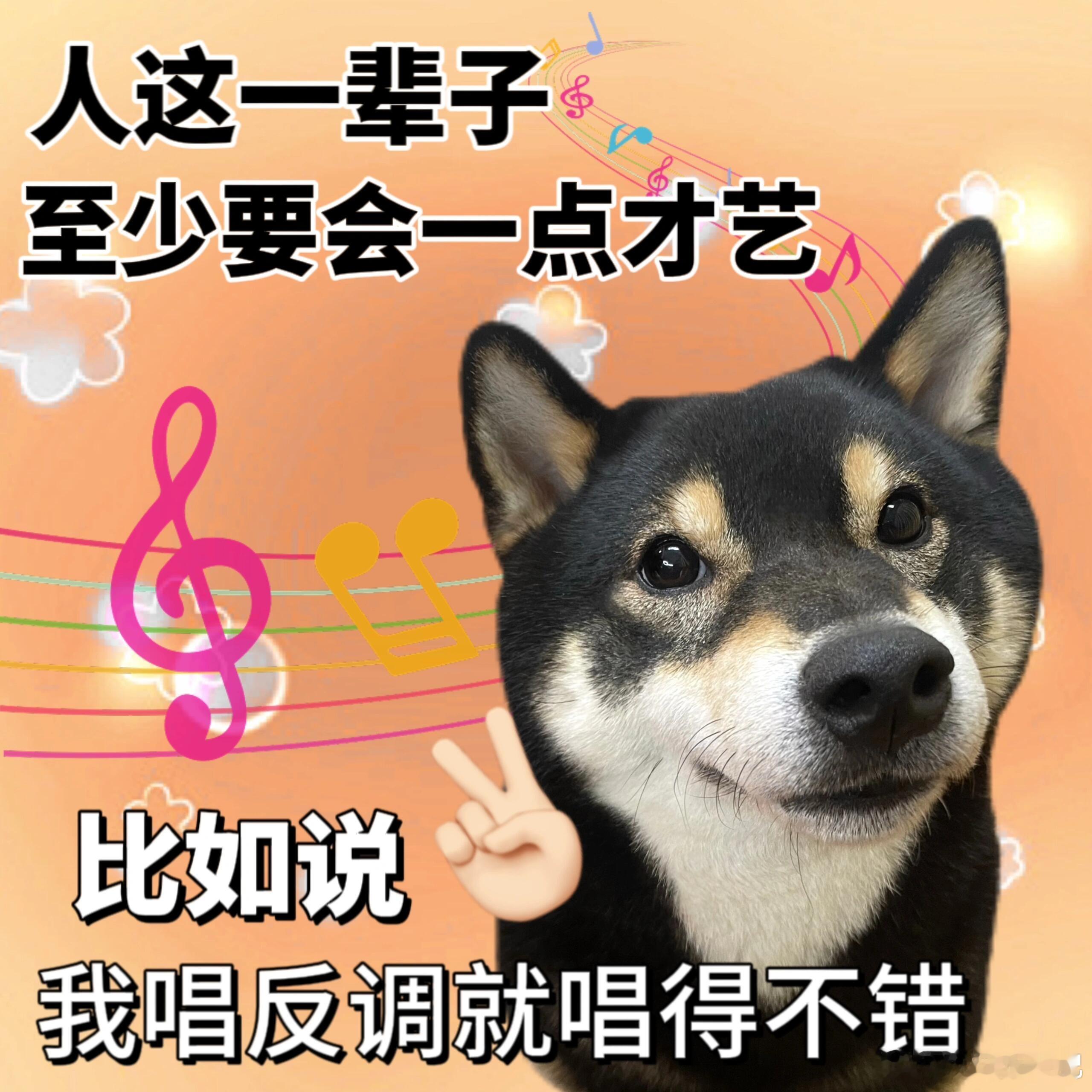 五音不全组队实在不行咱就闭眼蒙，万一蒙对了不然头发都要“五音不全”了哈哈！冲鸭！