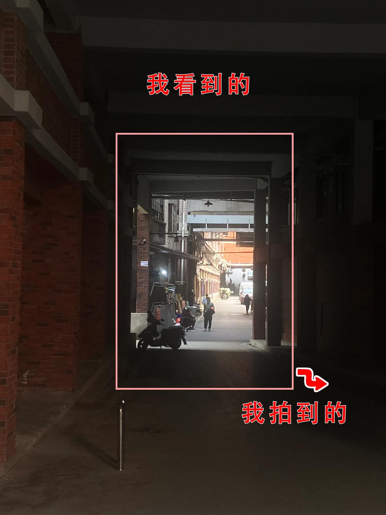 我们在同一个世界，通过镜头你会看到不一样的风景。