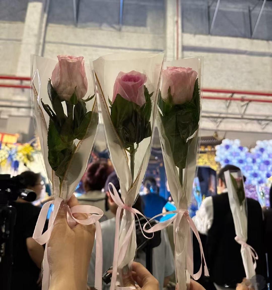 田嘉瑞送粉丝玫瑰花田嘉瑞520送粉丝玫瑰花！田嘉瑞520送粉丝玫瑰花