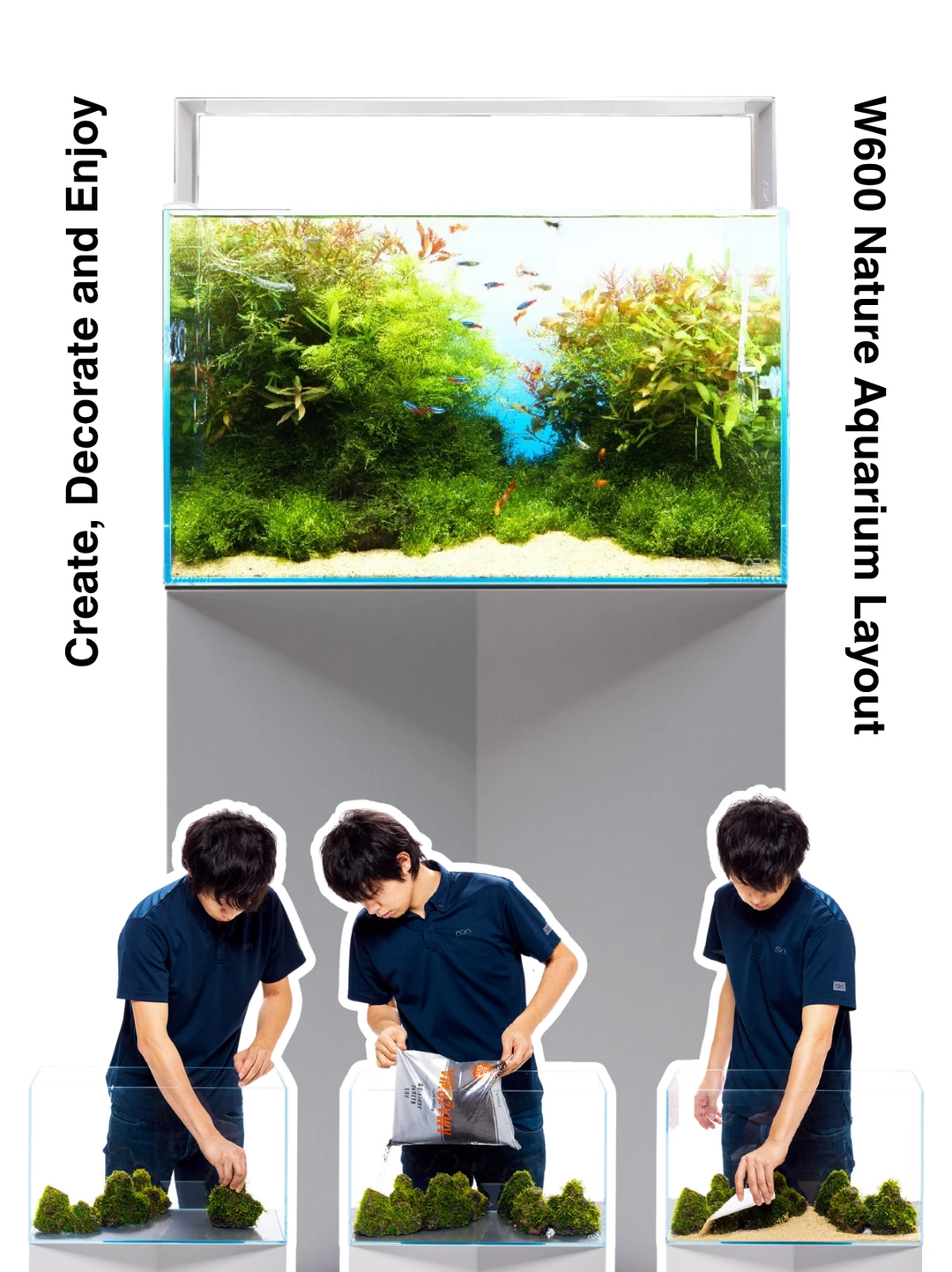 抄作业！一篇看懂ADA全套W600缸设备+造景