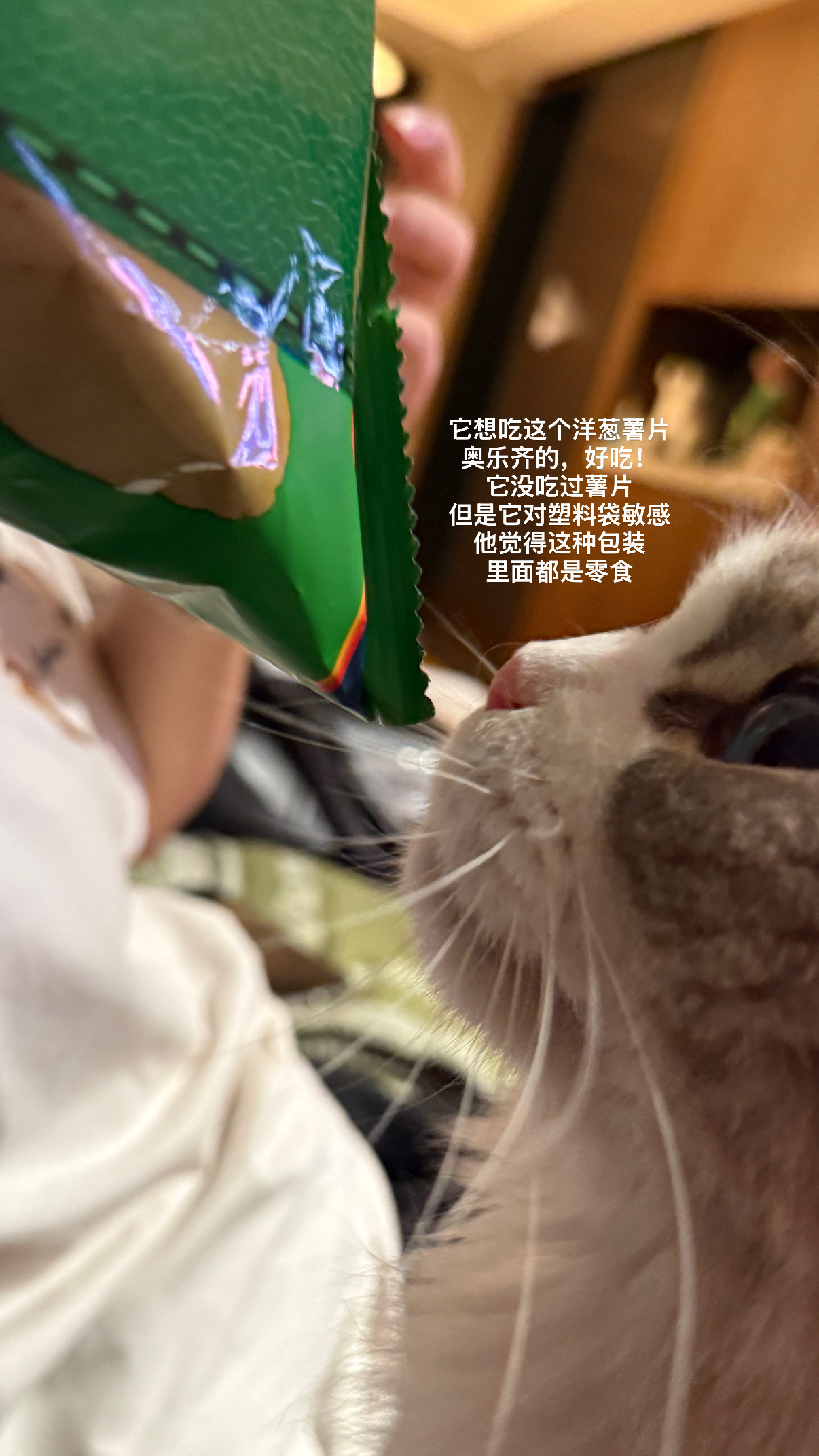 晚安plog 