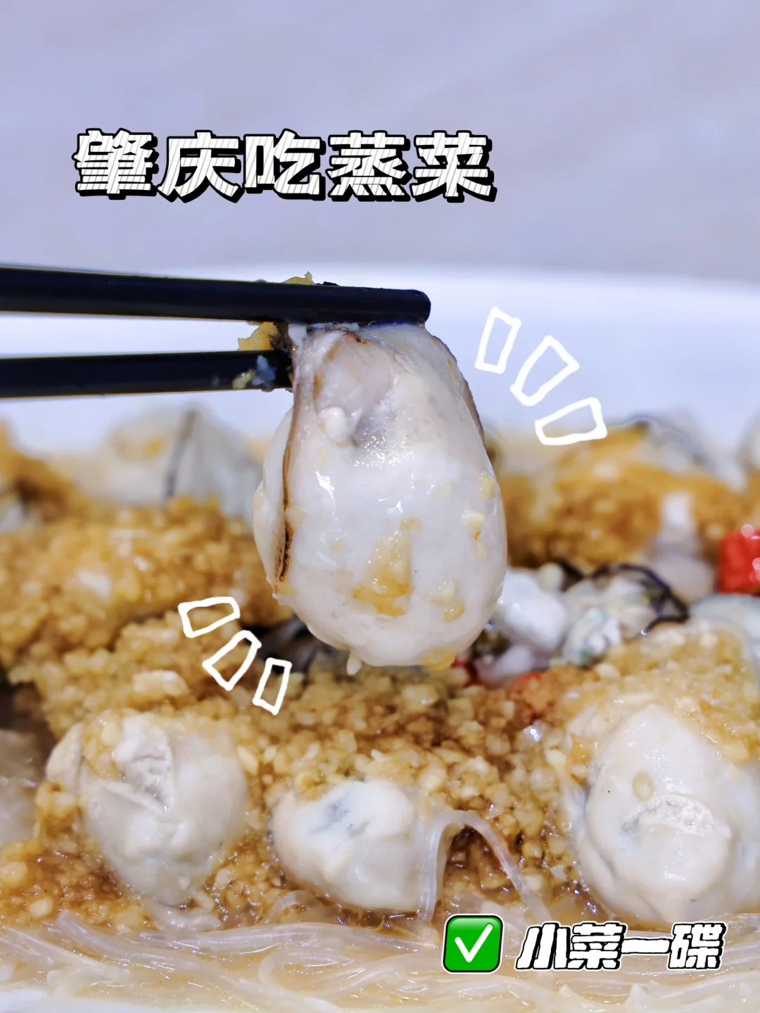 🐶肇庆宝藏餐馆｜宠物友好性价比天花板