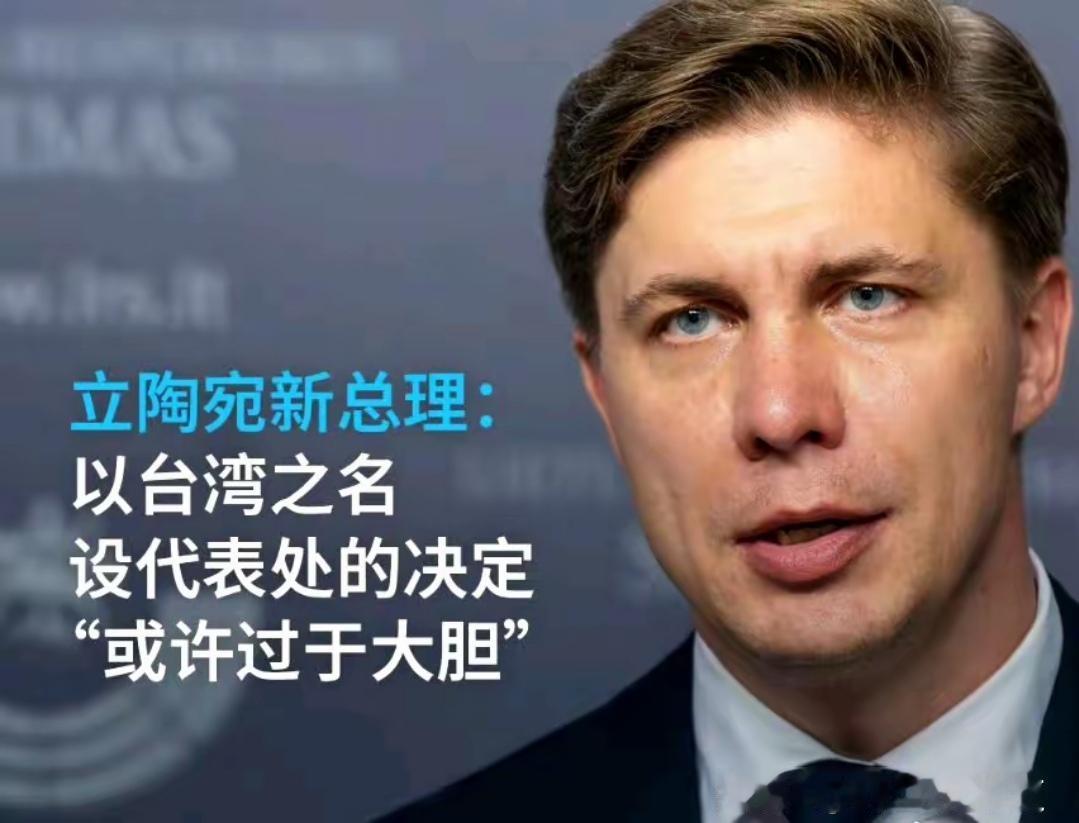 “以台湾之名设代表处的决定或许‘过于大胆’”，于‌2026 年 6 月 30 日