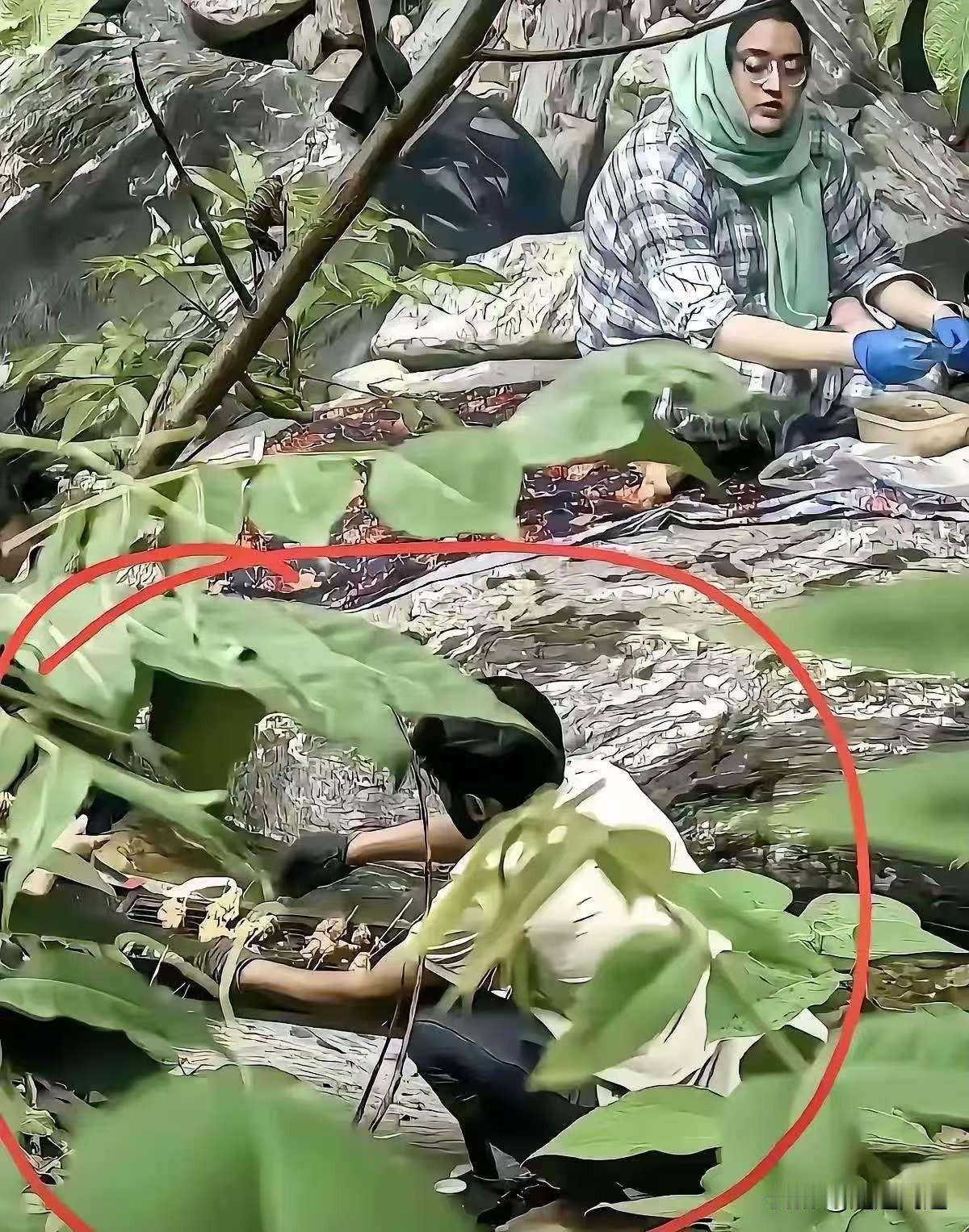 阿三在秦岭防火区内烧烤后续来啦。人找到了，已经传唤调查，具体处罚结果要等官宣。但