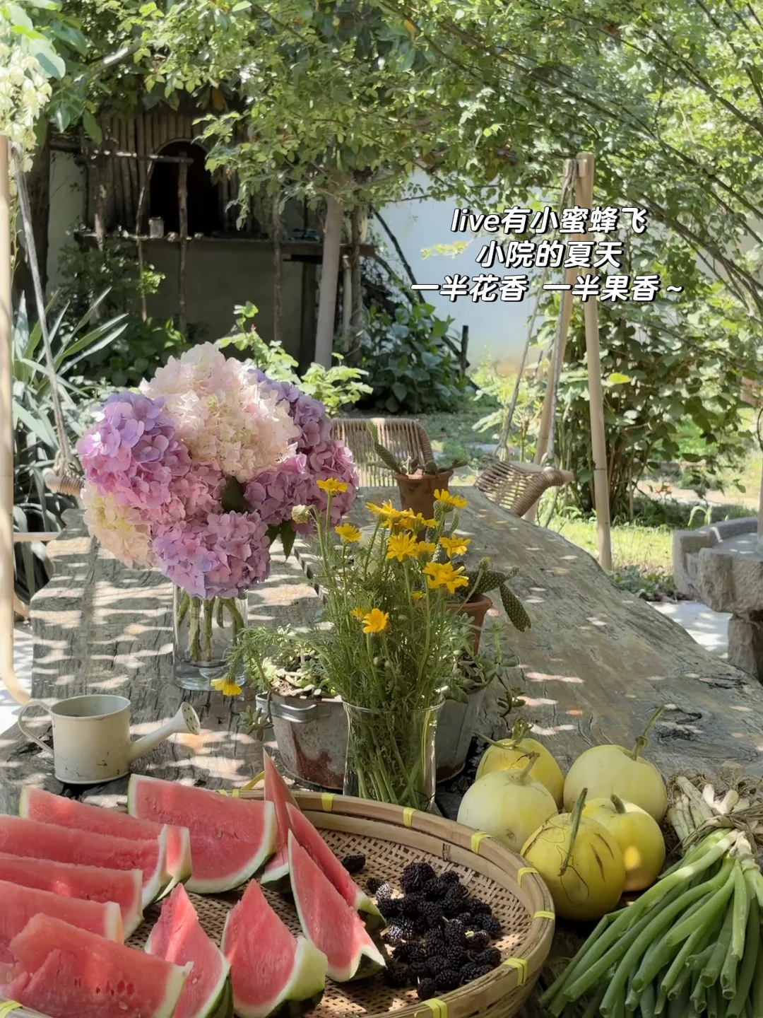 回村生活｜小院的夏天 🍉每一帧都是生活