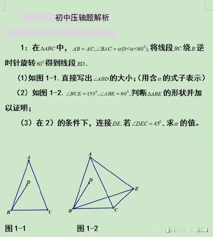 初中数学压轴题解析
初中数学讲透中考