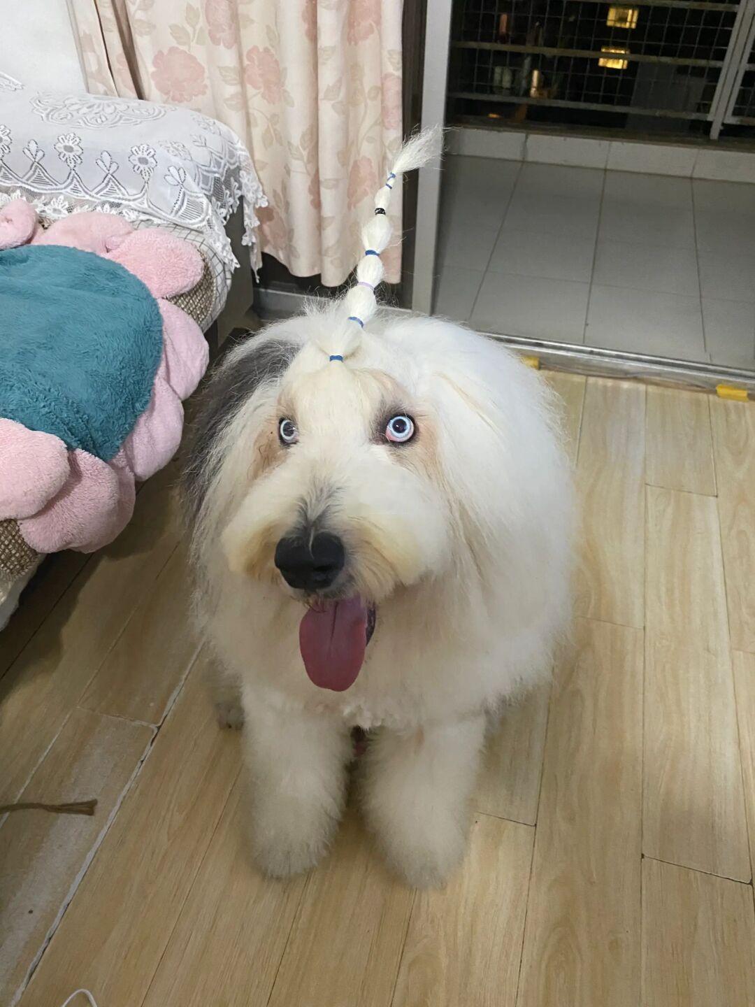 他看起来好像不太理解的样子