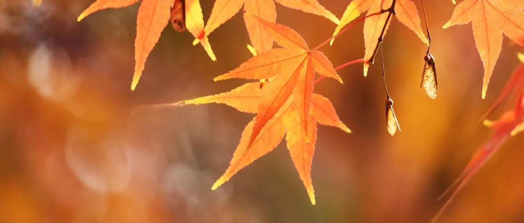 女人有了下面十个习惯，说明你老了：
1、开始不吃雪糕，不喝饮料了；
2、夏天不喜