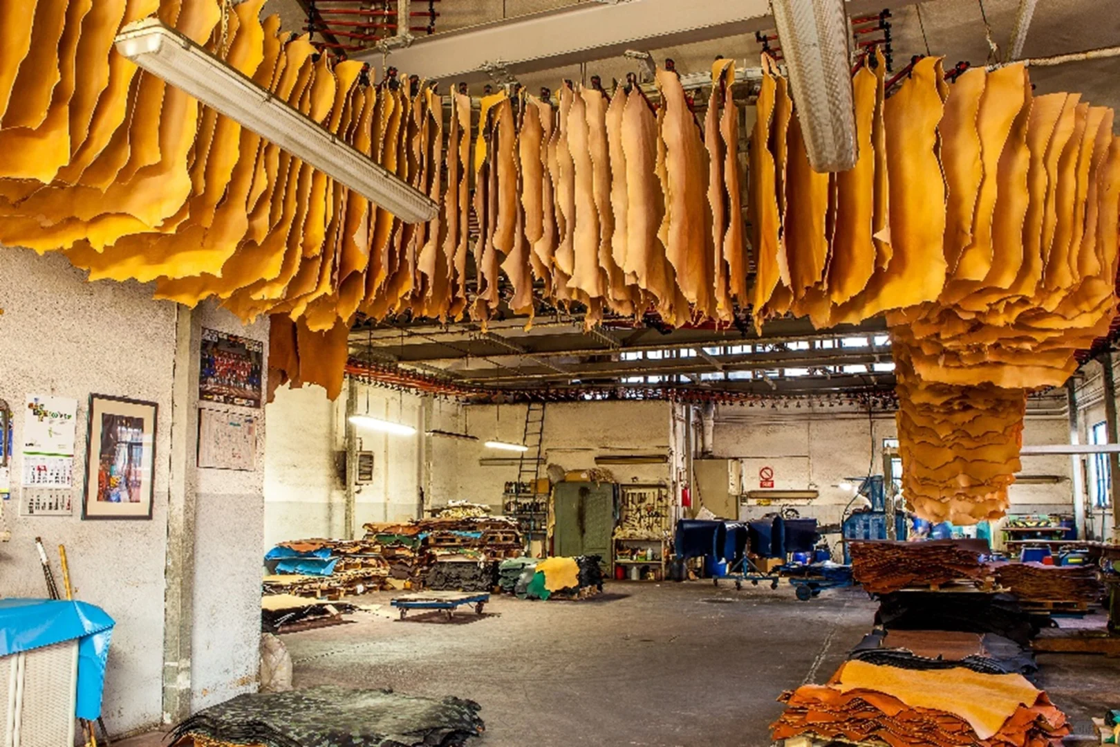 La Perla Azzurra的植鞣传奇 🌍