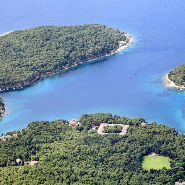 给钱也不加入美国？格陵兰岛居民：我们的土地，绝不出卖！
 
你敢信吗？有人想用钞