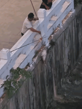 这鱼应该算谁的？