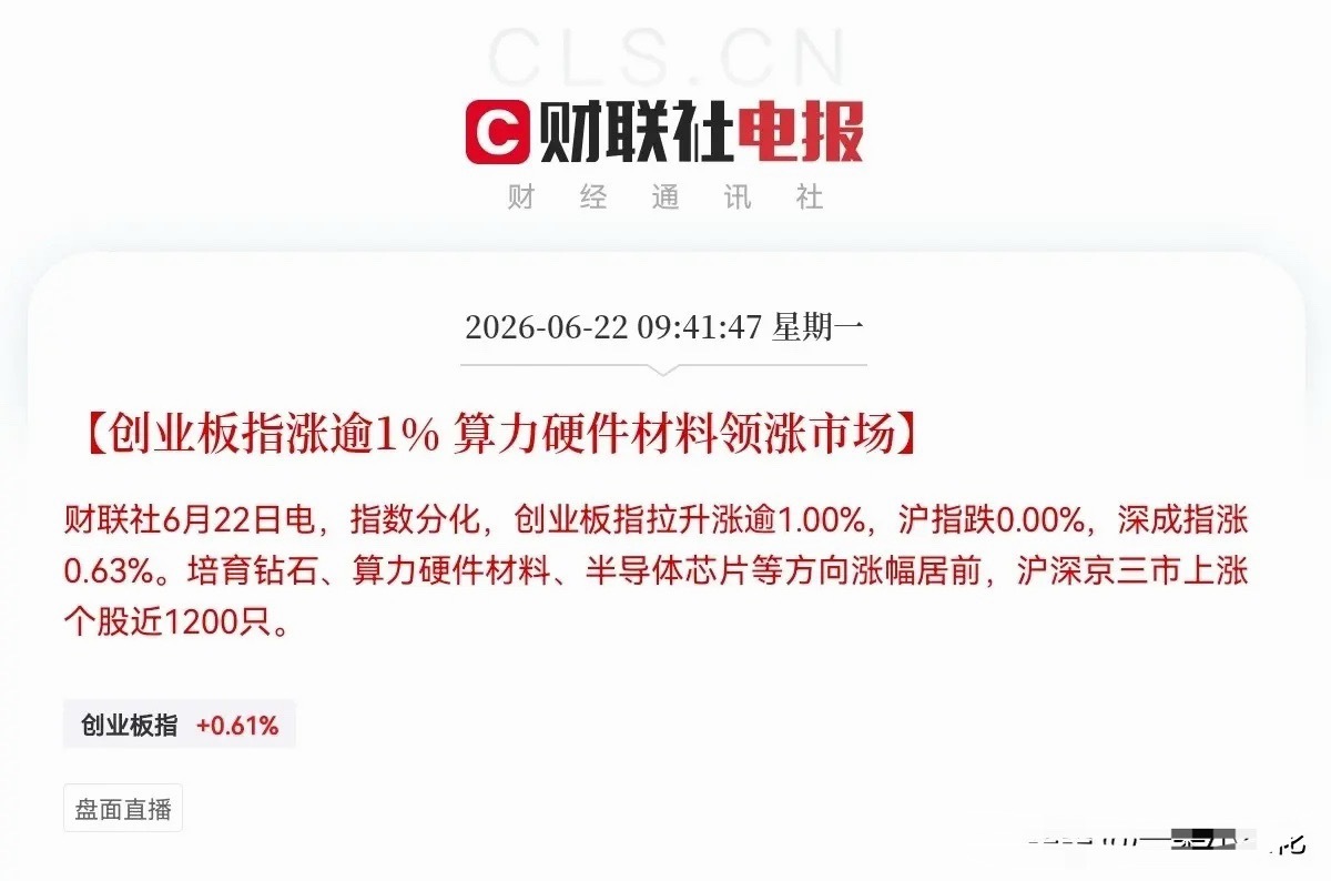 给操盘手加大鸡腿吧…万万没有想到，再大的利空都已经干扰不了科技股的向上趋势了，满