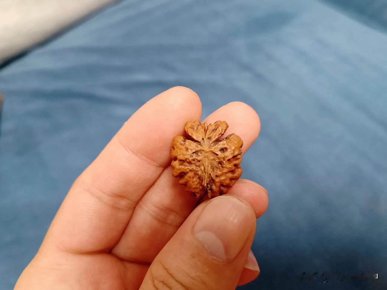 啃了一堆桃子也没有找到满意的桃核，最近看见桃子就想吐，看看人家的玩的桃核吊坠还真