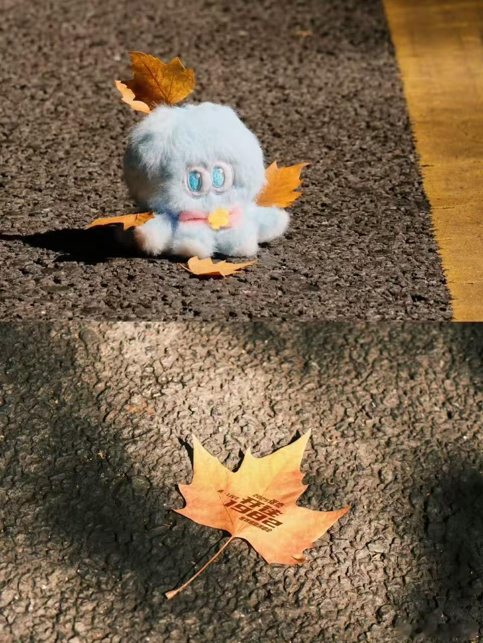 张杰打卡江苏南京张杰打卡南京张杰打卡南京，好看，[鼓掌][鼓掌] ​​​