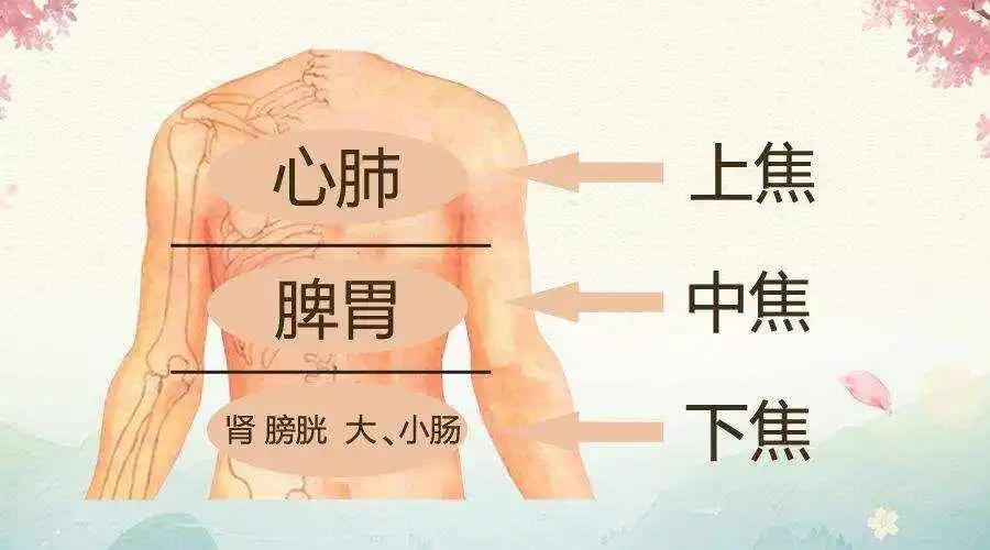 上焦火——用栀子；中焦堵——用陈皮；下焦虚——用黄精，三焦通，浑身轻松

1.上