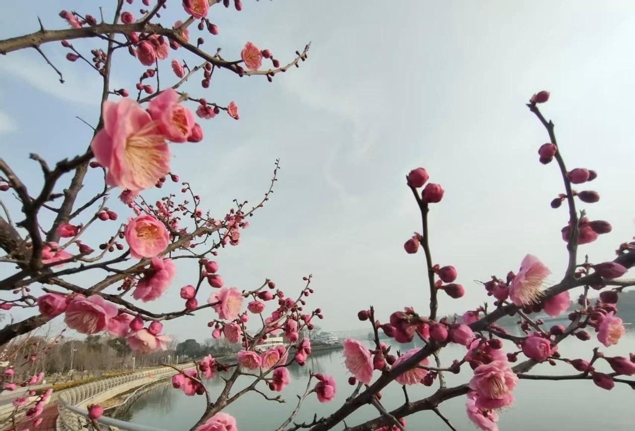 记录我的2026今天很冷啊，起来的早很不舒服不过不起来睡一天嘛不舒服啊。对身体也